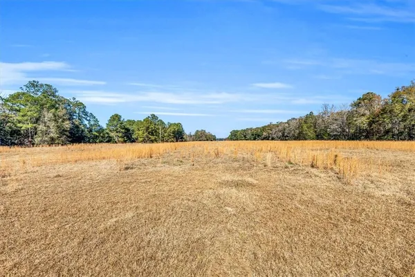 $1,988,000 | 580 Old Gress Island Road, Midway, GA 31320