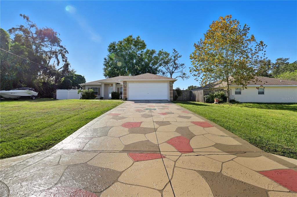 a view of a yard with plants