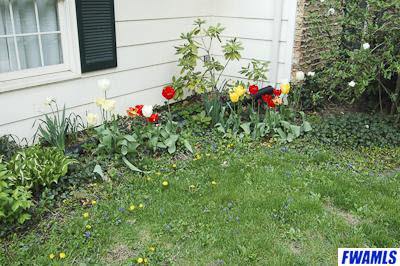 7010 Blue Mist Road Fort Wayne, IN 46819 - Photo 9 of 26