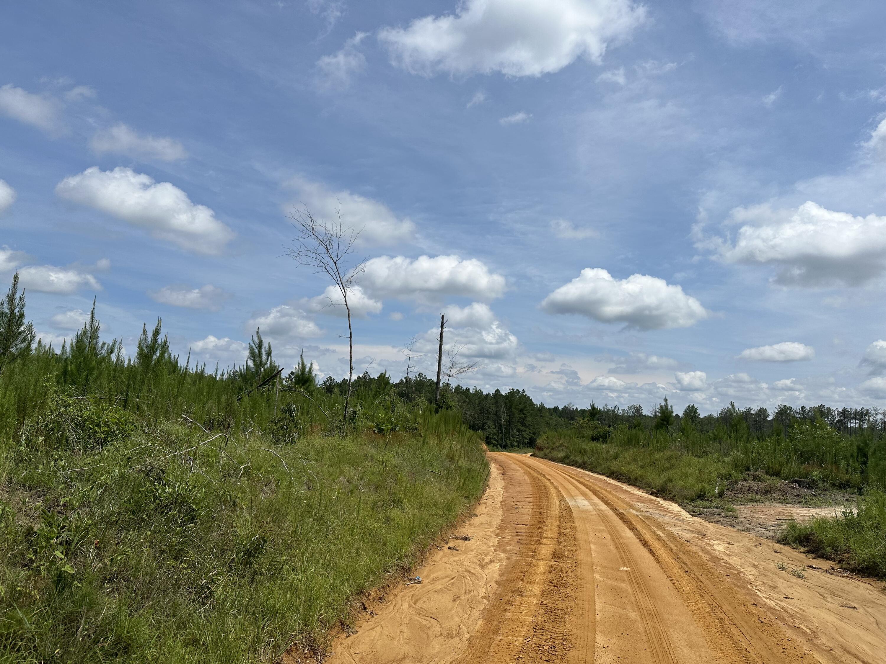 29 Blackstone Road Blythe, GA 30815 - Photo 4 of 4 Blackstone Rd2
