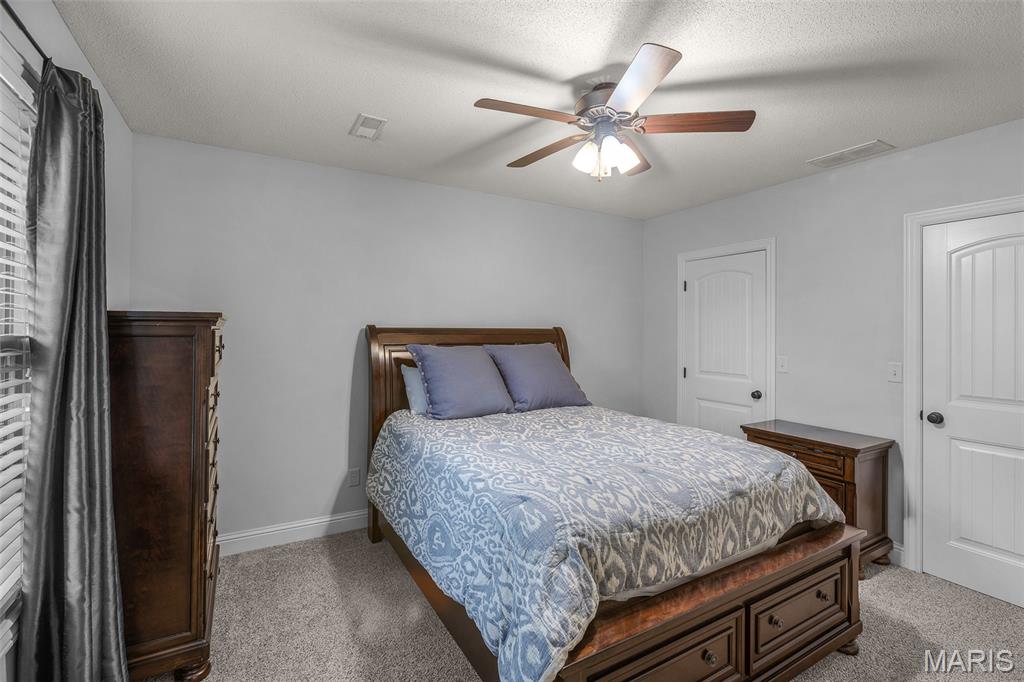 2566 Prairie View Trail Jackson, MO 63755 - Photo 35 of 42