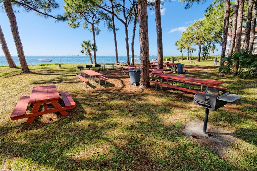 2700 Bayshore Boulevard, Unit 11105 Dunedin, FL 34698 - Photo 25 of 33 a backyard of a house with table and chairs