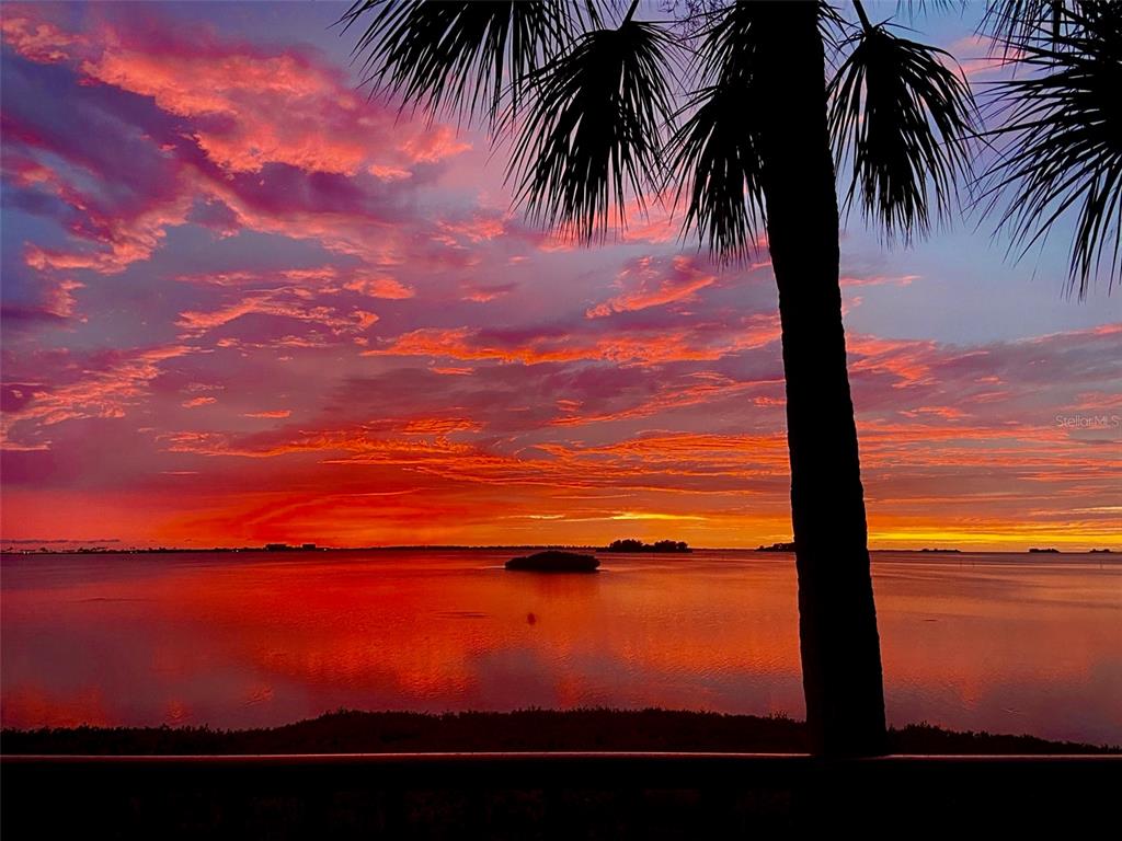 2700 Bayshore Boulevard, Unit 11105 Dunedin, FL 34698 - Photo 6 of 33 a view of ocean