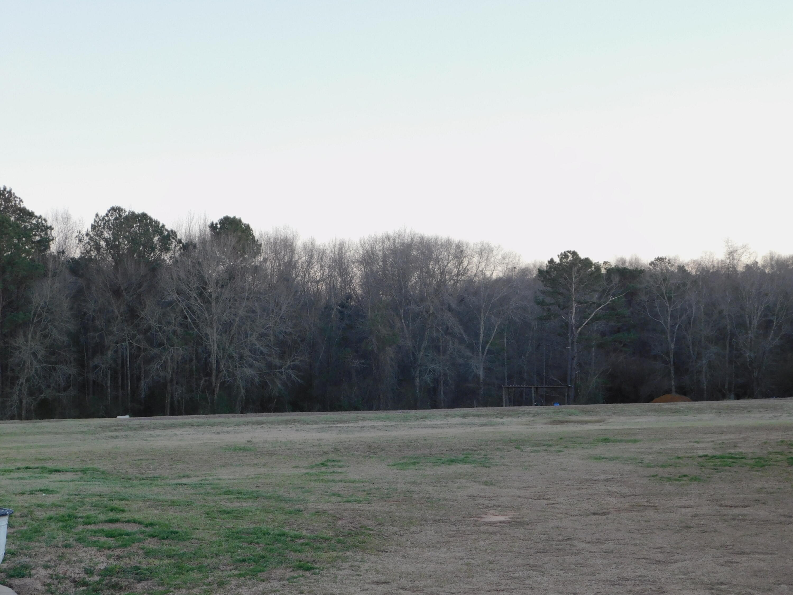 17576 Enoch Road Andalusia, AL 36421 - Photo 8 of 61 DSCN0755
