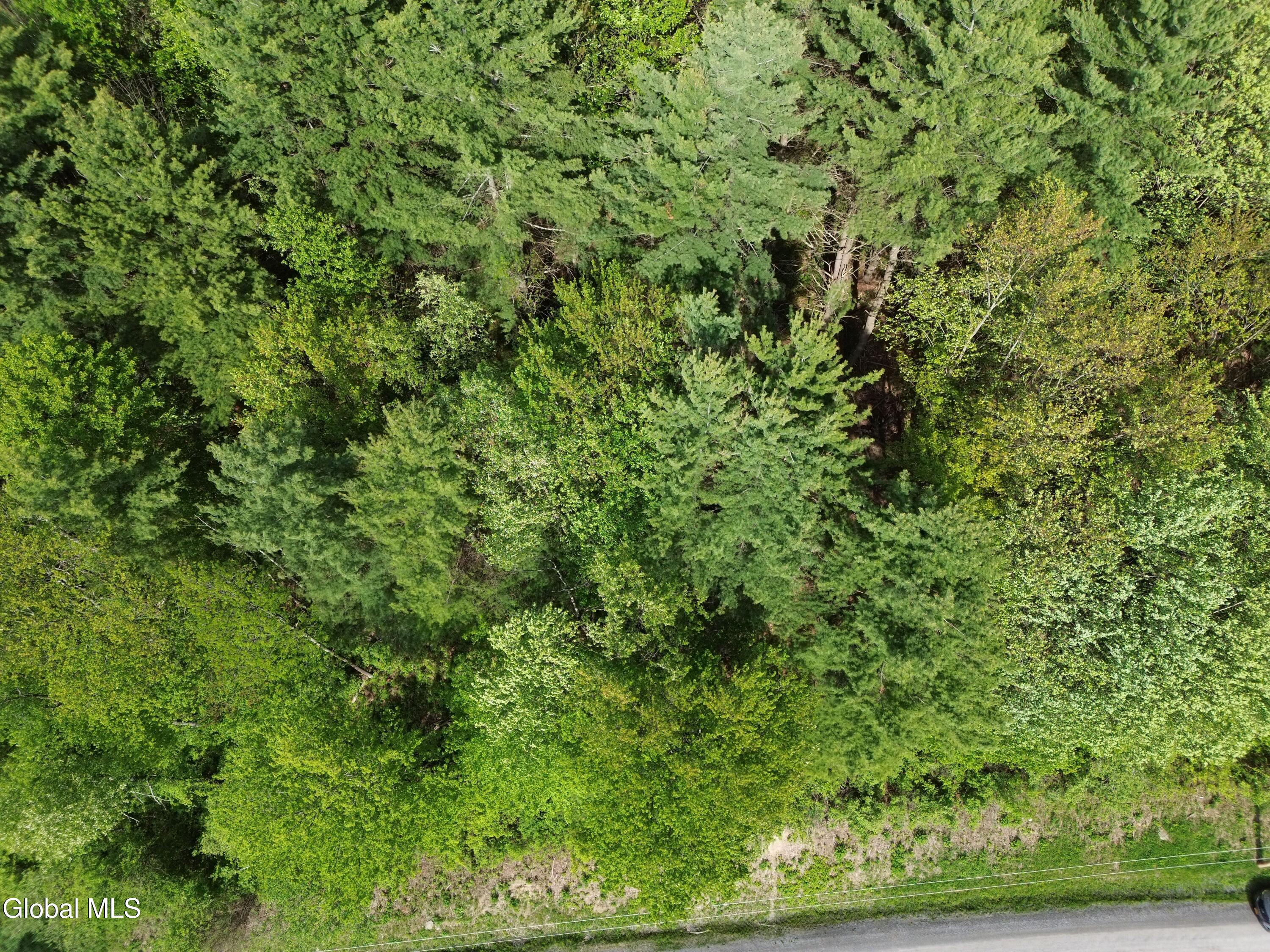 264 Conley Road Cambridge, NY 12816 - Photo 4 of 7 DJI_0417