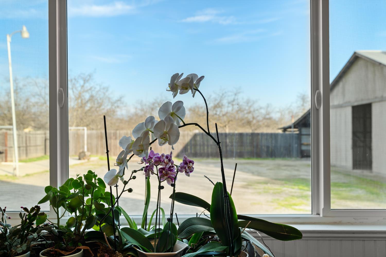 5610 North Confer Road Stockton, CA 95215 - Photo 27 of 40 The backyard view of the workshop, from the family room.