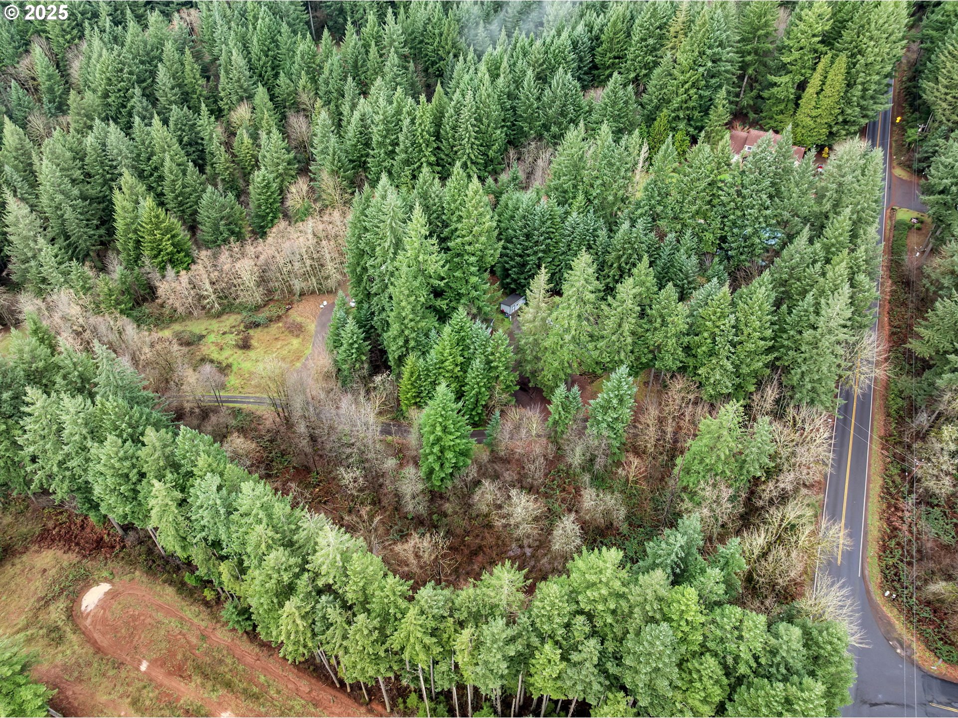 4724 Northeast 292nd Avenue Camas, WA 98607 - Photo 5 of 13