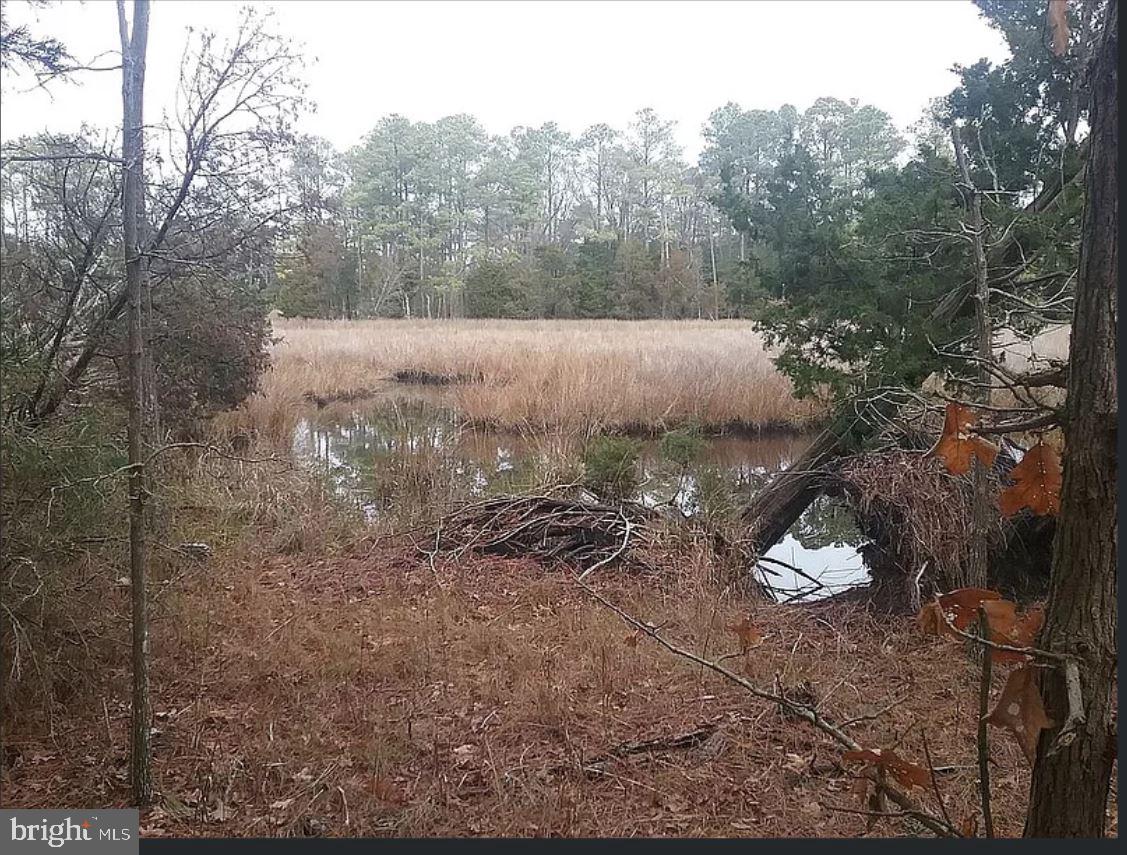 2410 Wesley Church Road Wingate, MD 21675 - Photo 20 of 20 Gallery Image 20