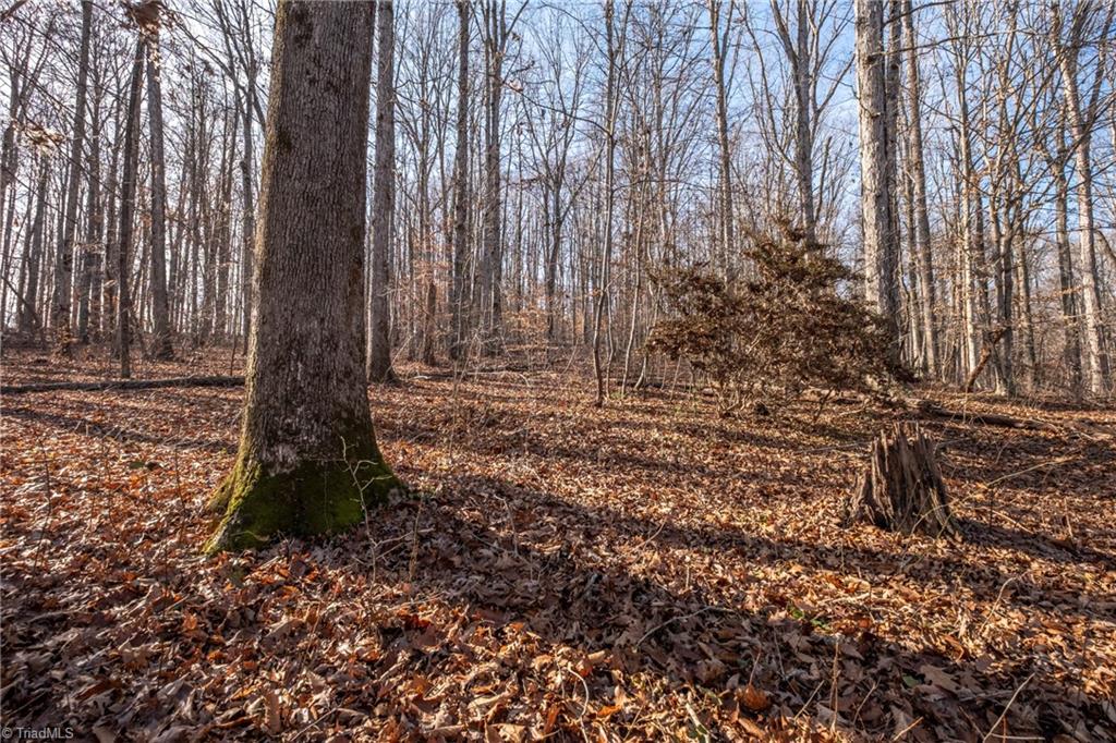 1980 Emorywood Road Rural Hall, NC 27045 - Photo 26 of 27