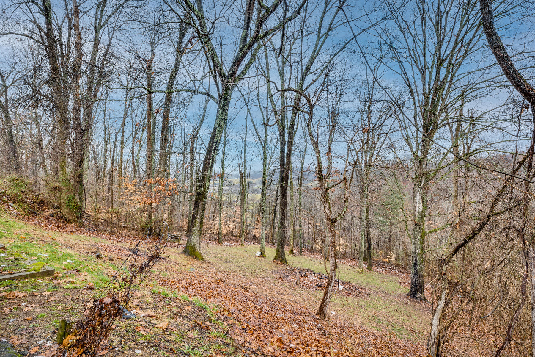 476 Merman Road Kingsport, TN 37663 - Photo 34 of 39 034 (19)