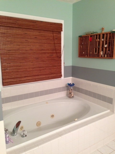 517 Hamlin Road, Unit TRACT Jackson, GA 30233 - Photo 43 of 44 a bathroom with a bathtub