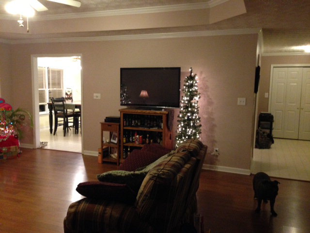517 Hamlin Road, Unit TRACT Jackson, GA 30233 - Photo 7 of 44 a living room with furniture and a flat screen tv