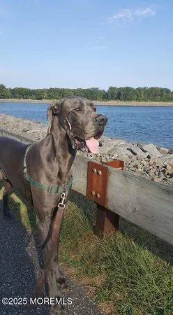 $1,395,000 | 720 Maidenstone Drive, Brick, NJ 08724