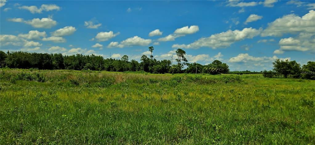 Mammoth Grove Rd Lake Lake Wales, FL 33898 - Photo 6 of 7