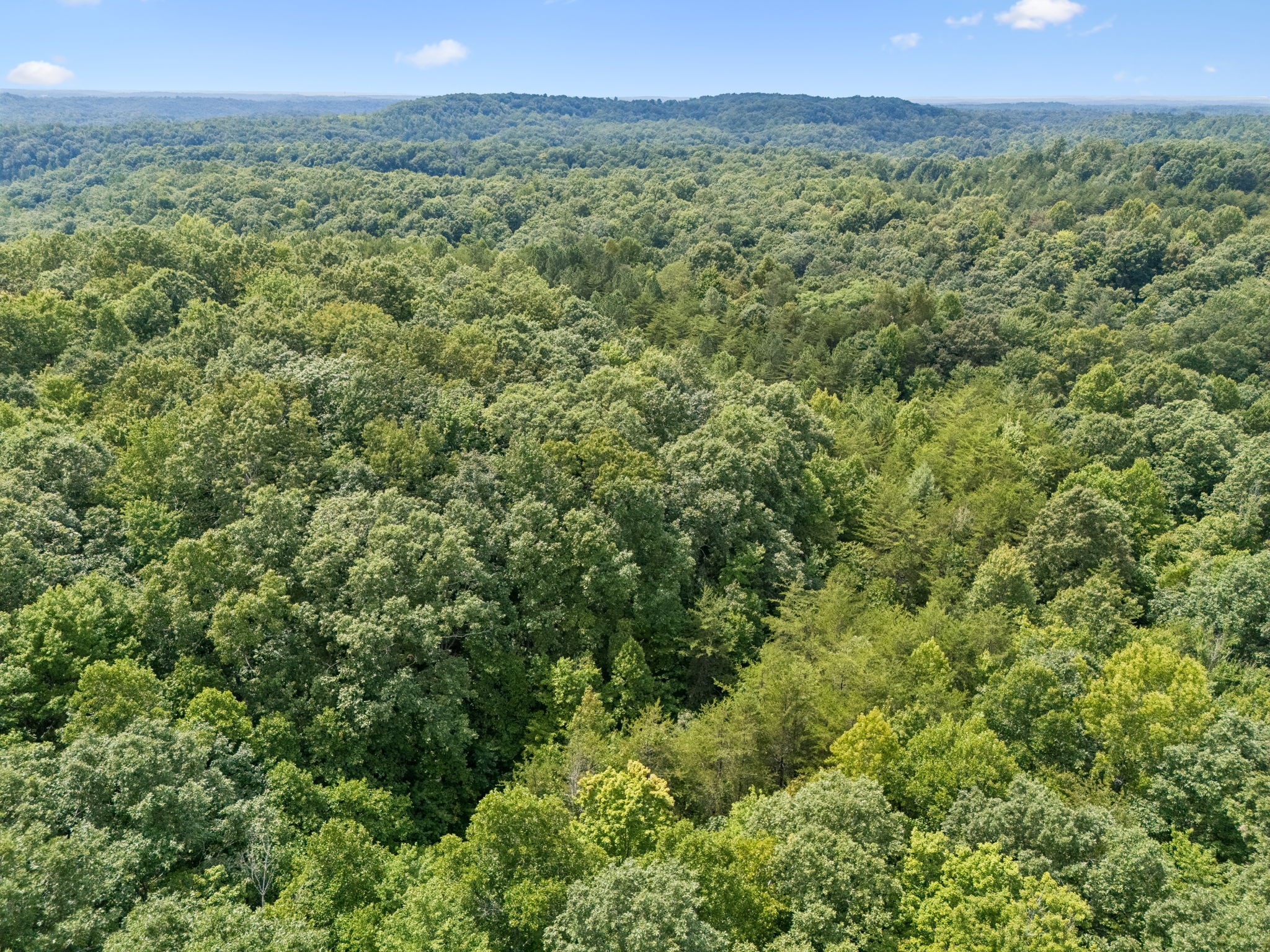 0 Ridge Road Robbins, TN 37852 - Photo 17 of 20 Gallery Image 17