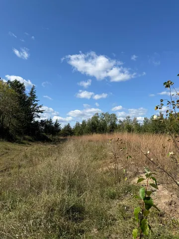 $83,900 | Tbd Moonlight Court Northeast, Bemidji, MN 56601