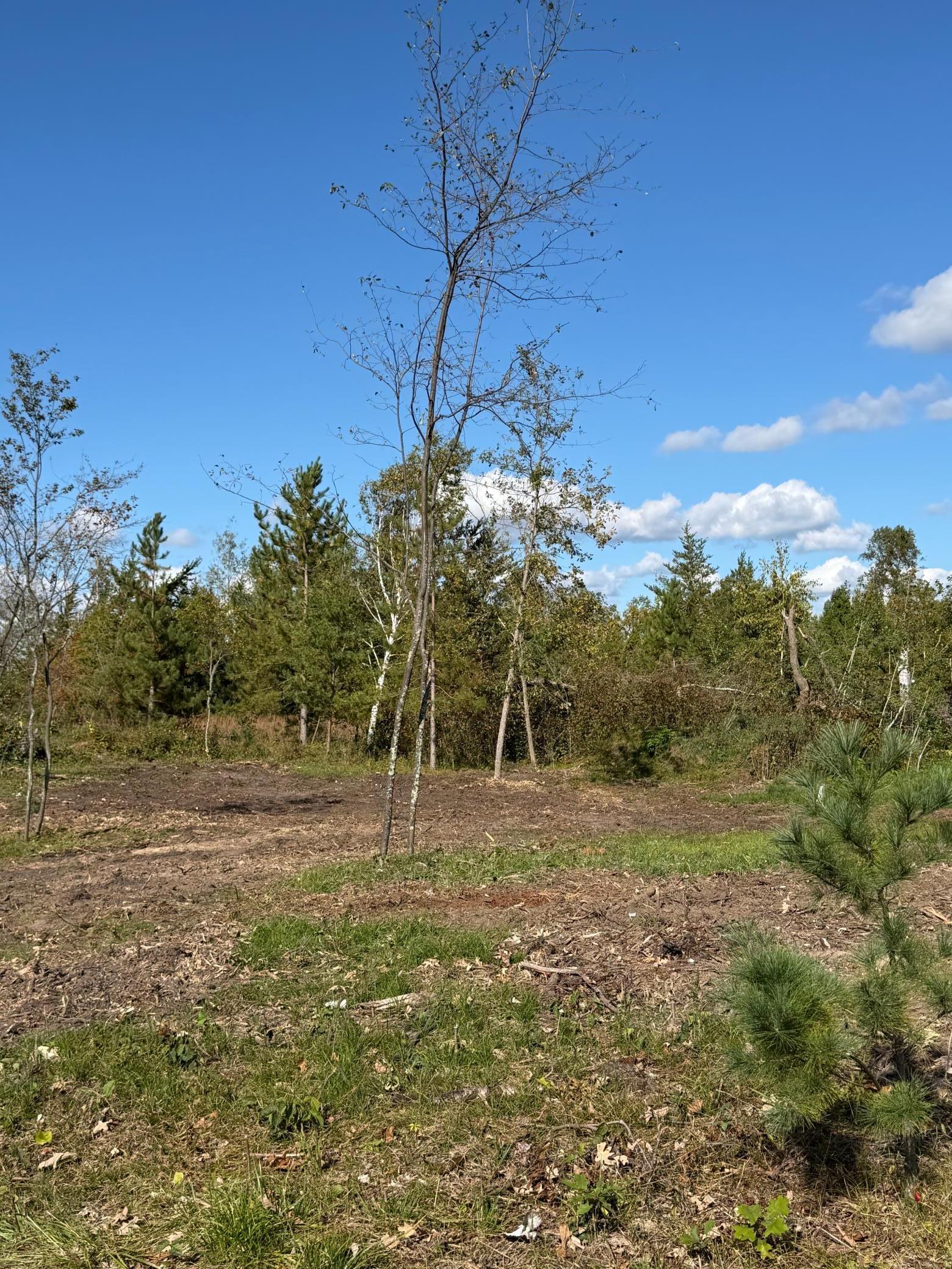 Tbd Moonlight Court Northeast Bemidji, MN 56601 - Photo 3 of 12