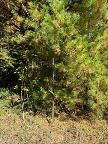 $83,900 | Tbd Moonlight Court Northeast, Bemidji, MN 56601