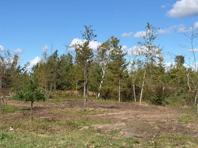 $83,900 | Tbd Moonlight Court Northeast, Bemidji, MN 56601