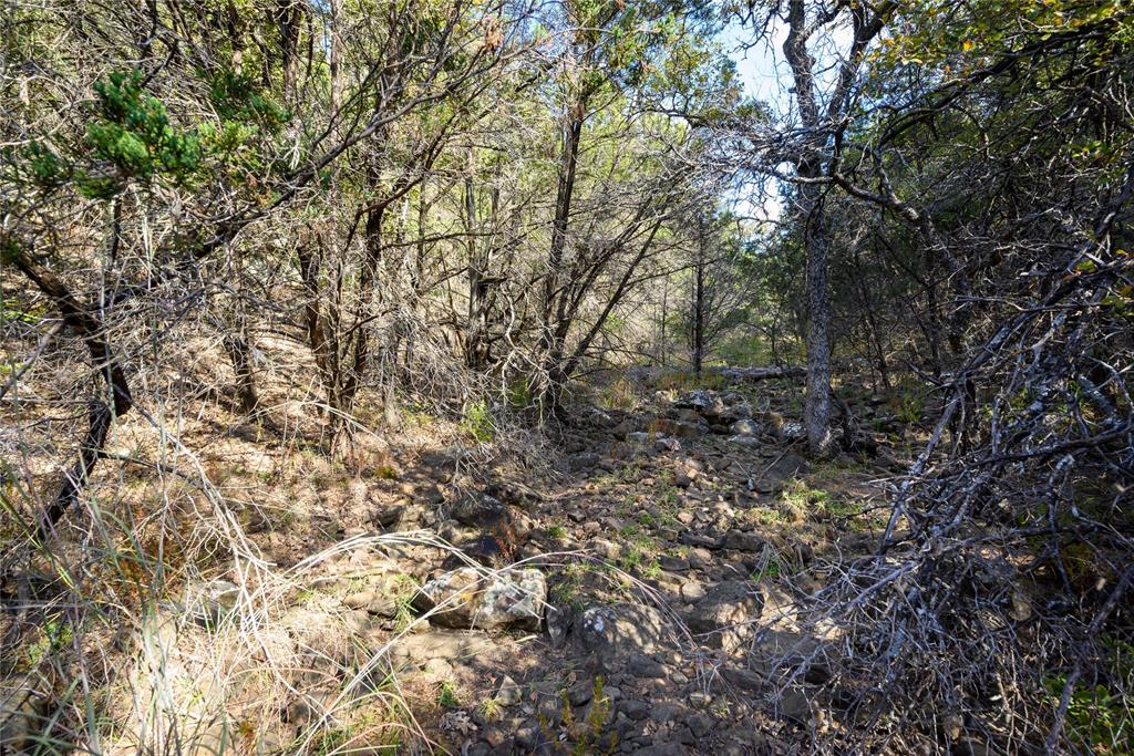 Tbd Ward Mt Road Santo, TX 76472 - Photo 5 of 11 a view of a yard with a tree
