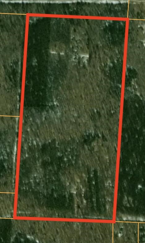 7376 West 7 Mile Road Mesick, MI 49668 - Photo 26 of 26 Gallery Image 26