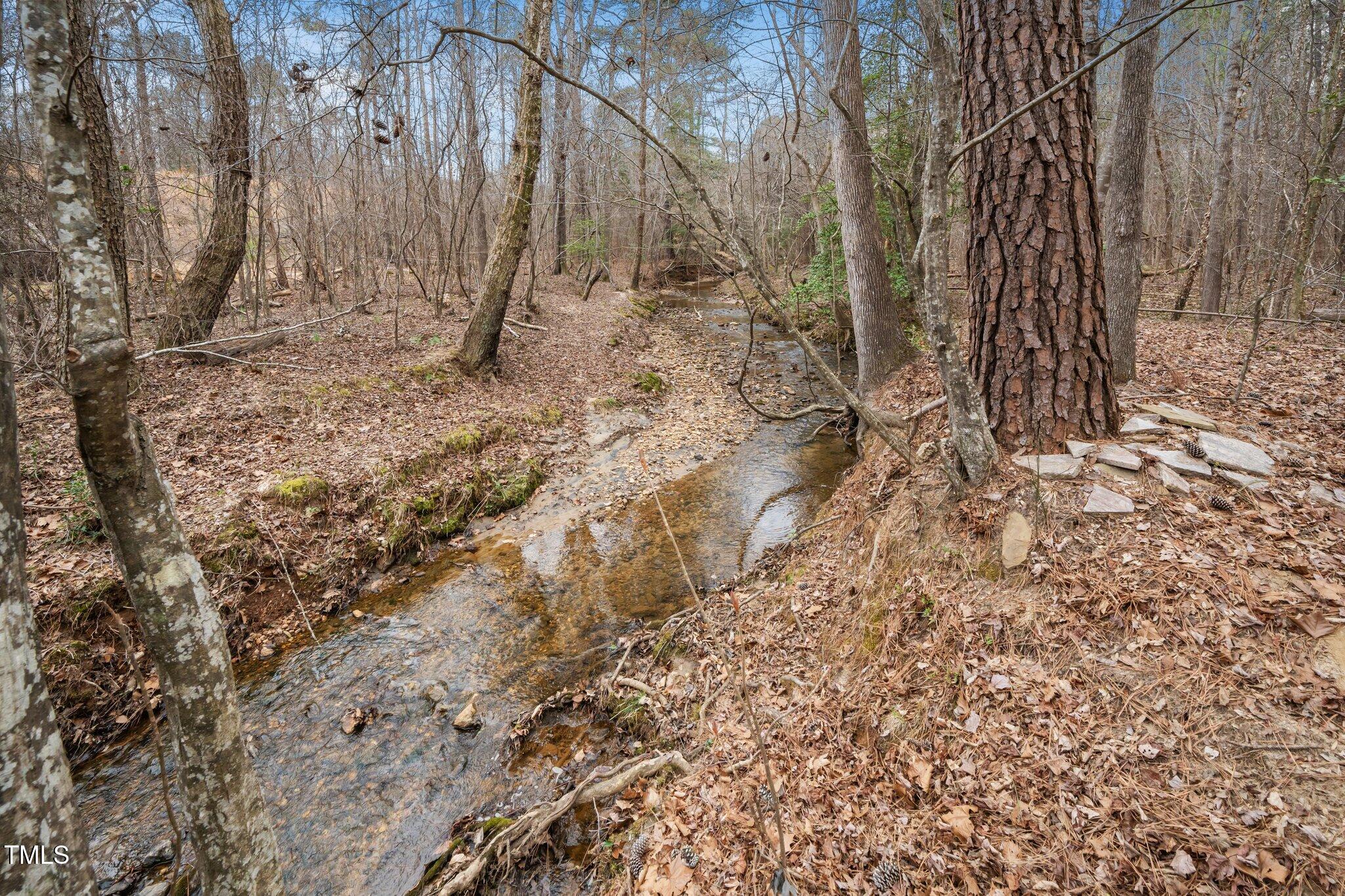 7001 Millstone Ridge Court Raleigh, NC 27614 - Photo 51 of 54 a view of a yard with trees