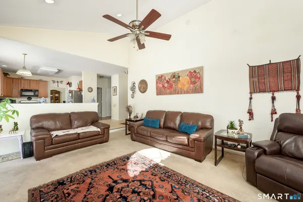 a living room with furniture and a couch