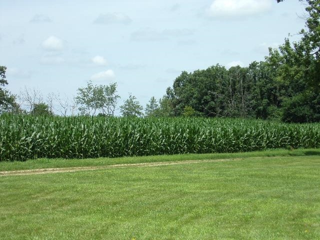 10006 Spring Road Garden Prairie, IL 61038 - Photo 11 of 13