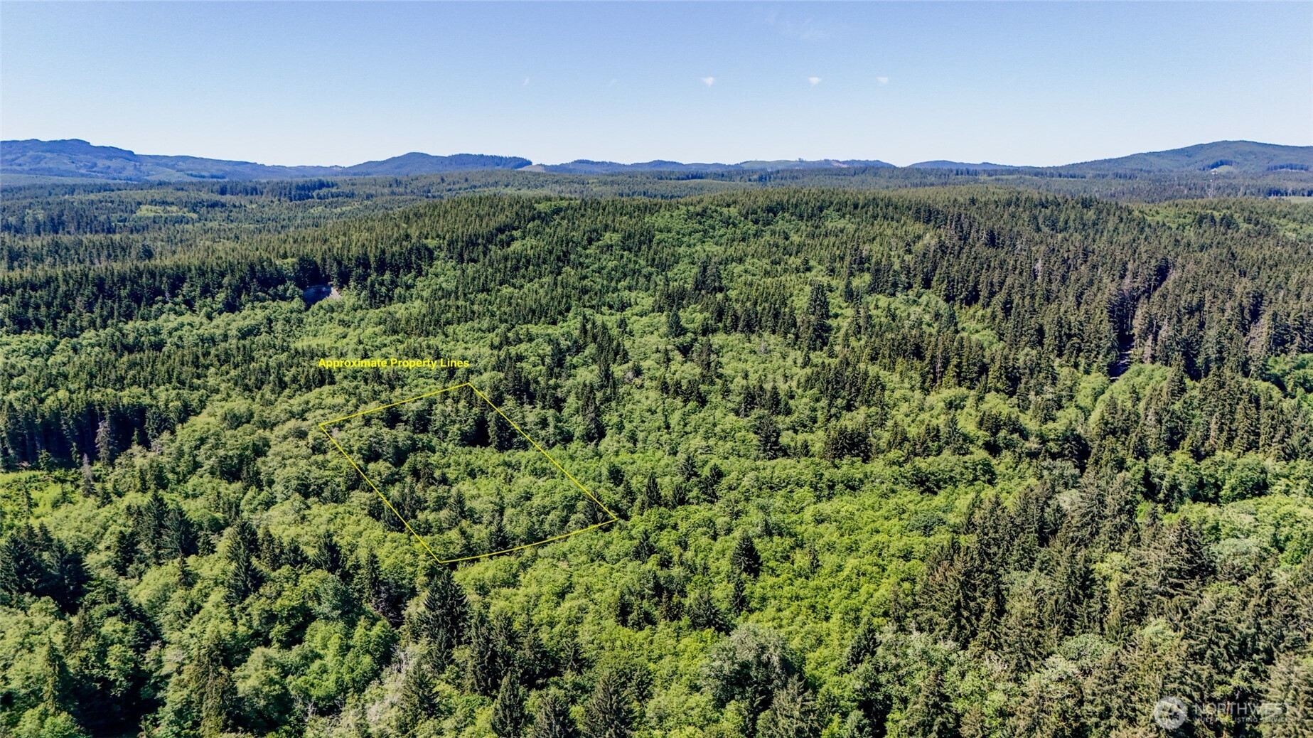 99994 Dowan Creek Road Forks, WA 98331 - Photo 2 of 40