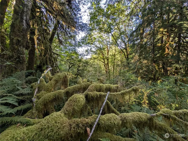 $139,000 | 99994 Dowan Creek Road, Forks, WA 98331