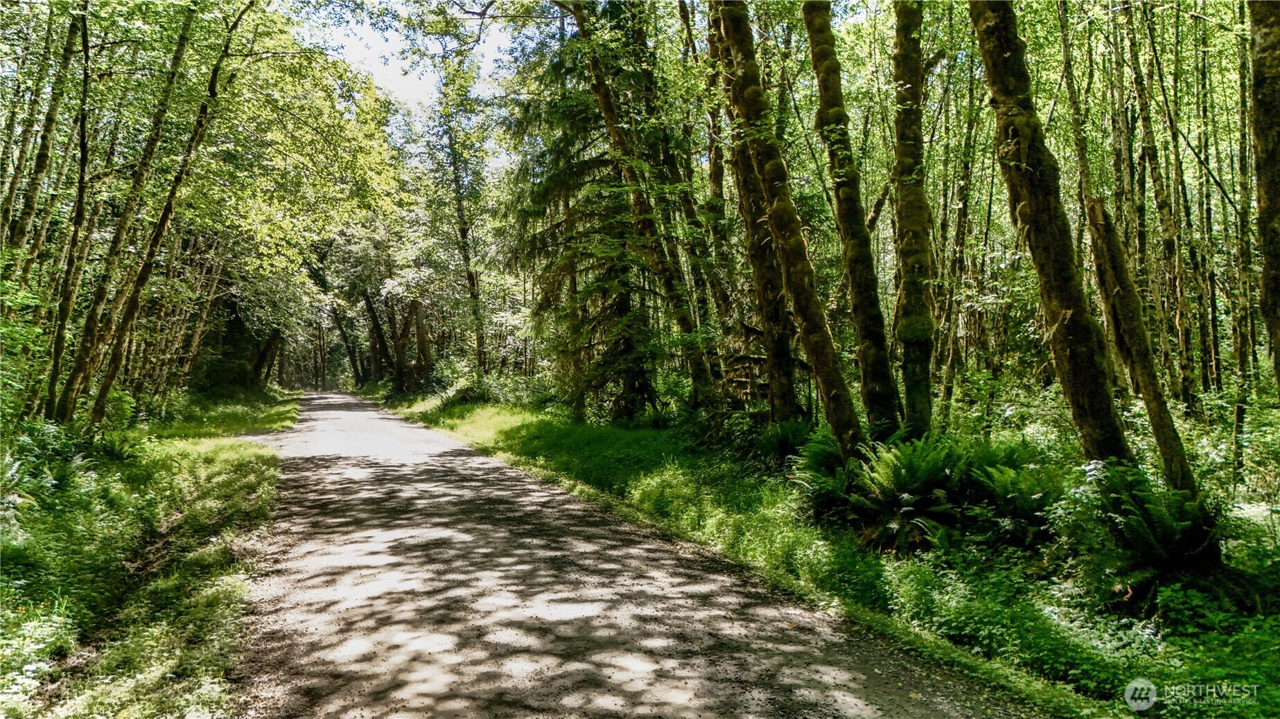 99994 Dowan Creek Road Forks, WA 98331 - Photo 4 of 40