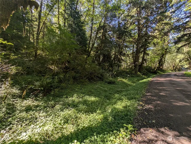 $139,000 | 99994 Dowan Creek Road, Forks, WA 98331