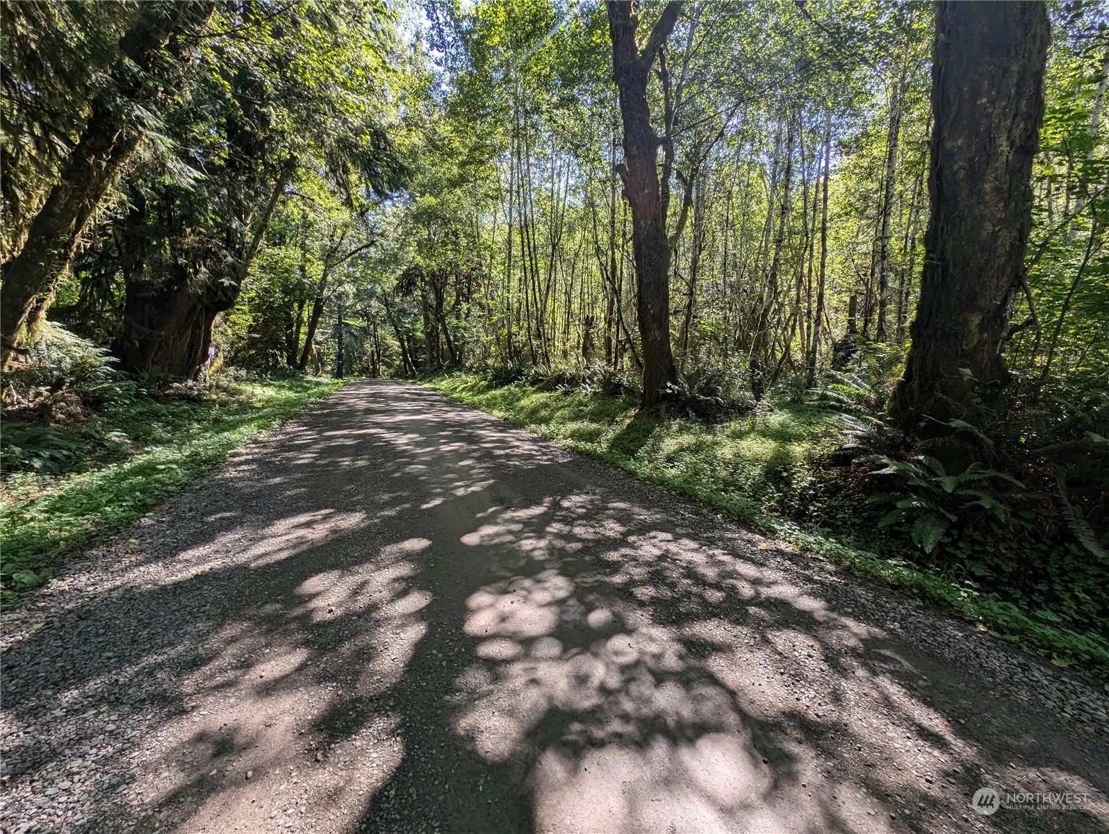 99994 Dowan Creek Road Forks, WA 98331 - Photo 9 of 40