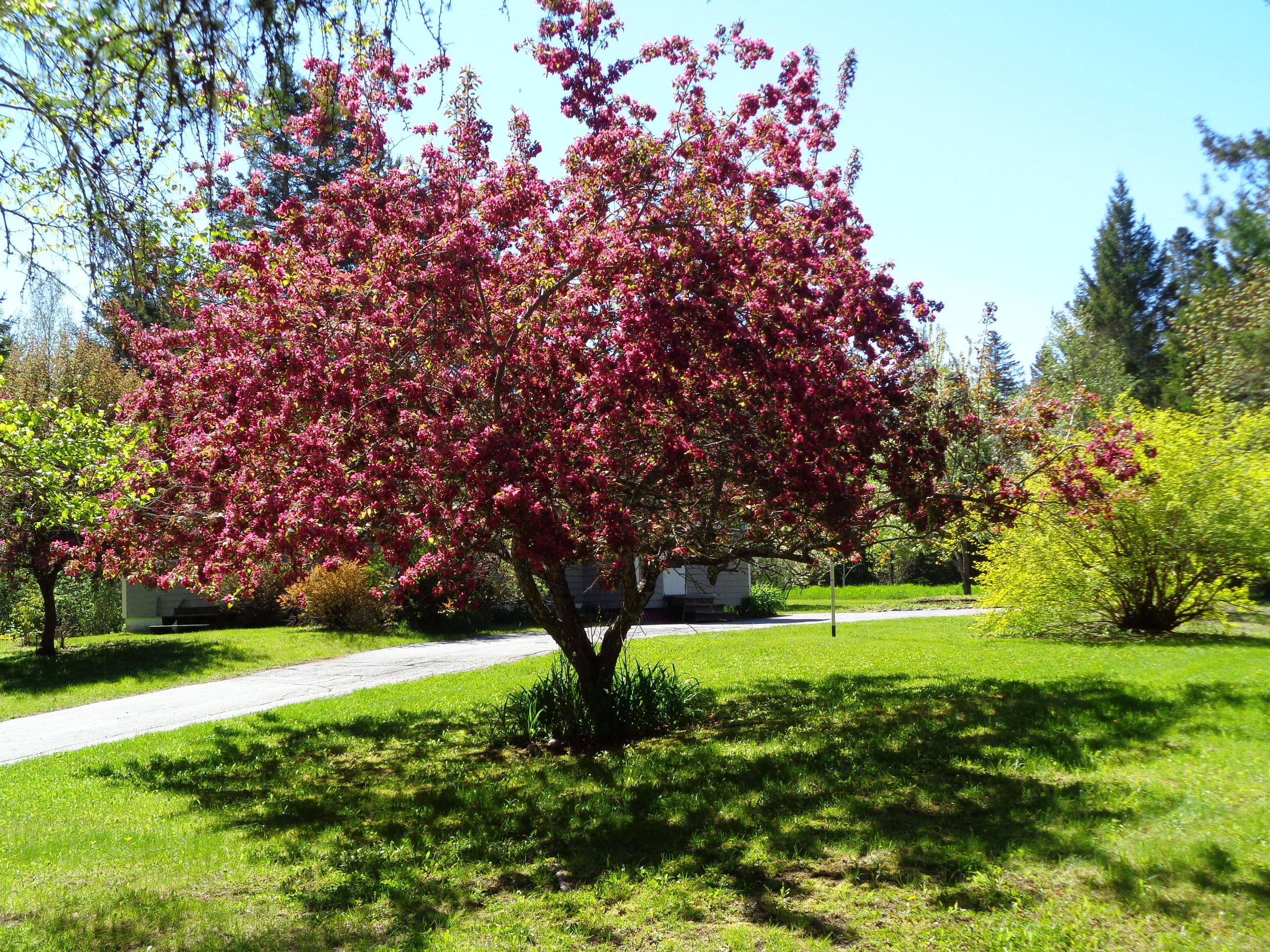 250 Village Road Steuben, ME 04680 - Photo 6 of 27 DSC03128