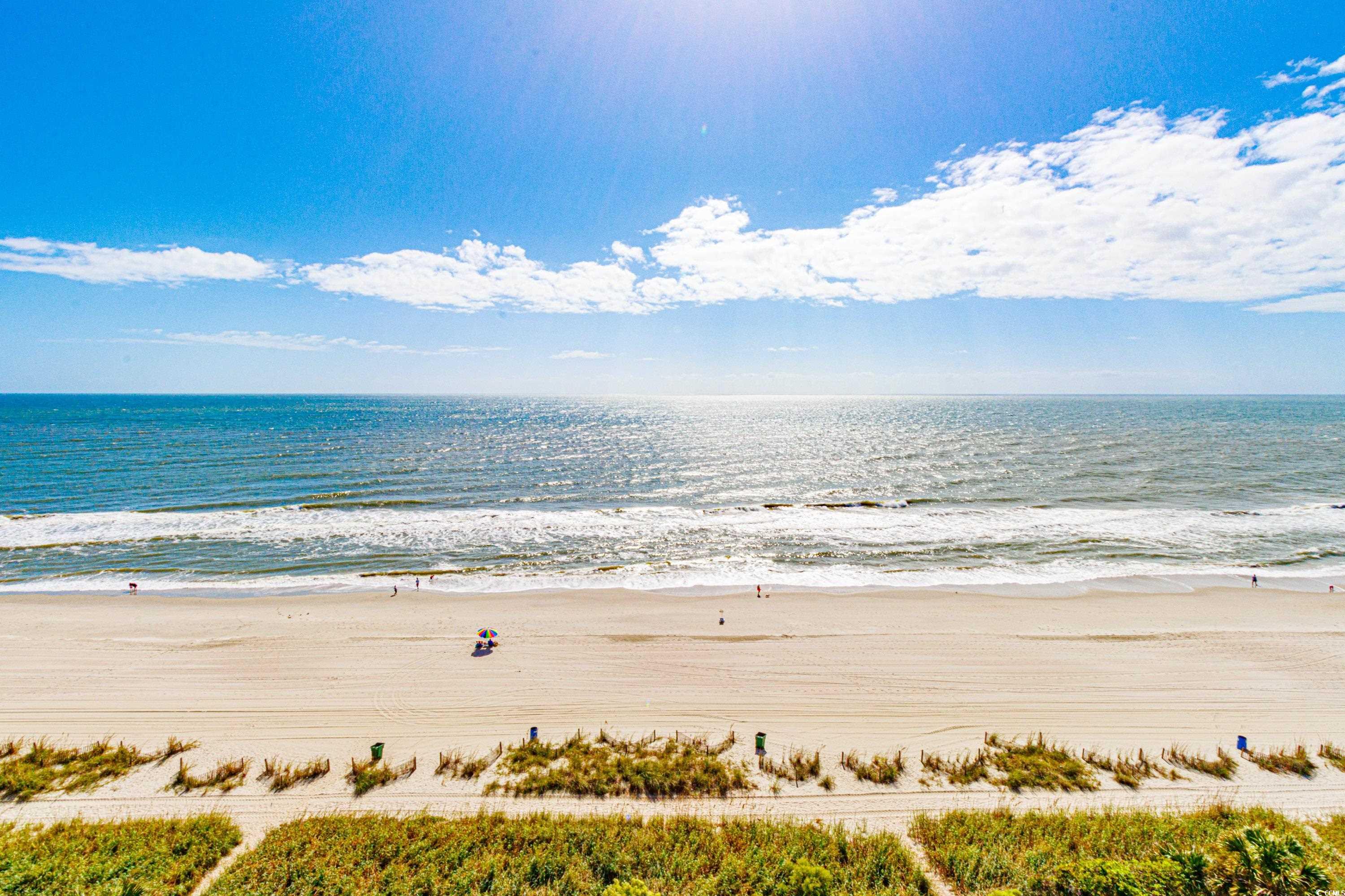 2207 South Ocean Boulevard, Unit 1007 Myrtle Beach, SC 29577 - Photo 3 of 40