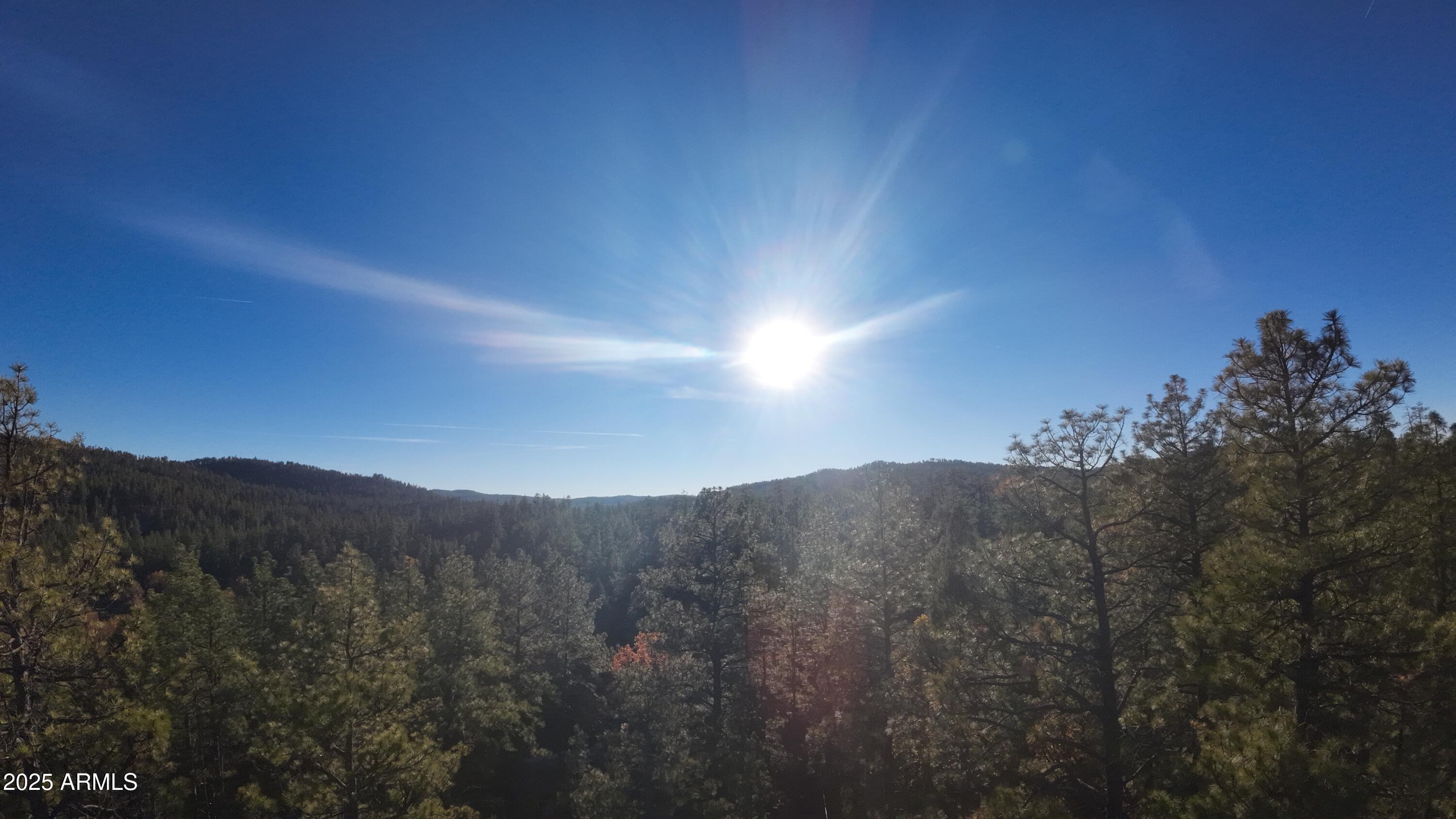 259 South Morris Meadows Payson, AZ 85541 - Photo 22 of 33