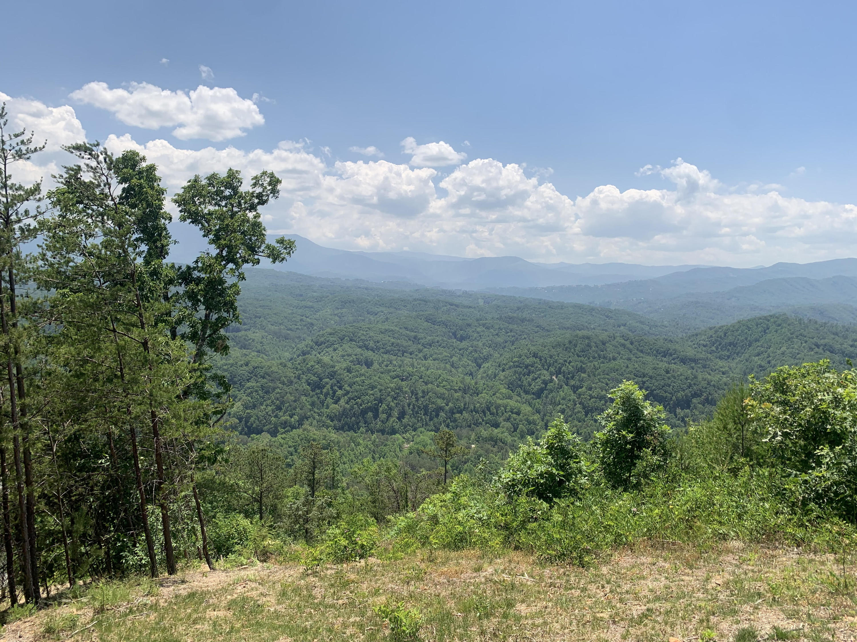 Timber Ridge Way Sevierville, TN 37876 - Photo 1 of 7 Main Image
