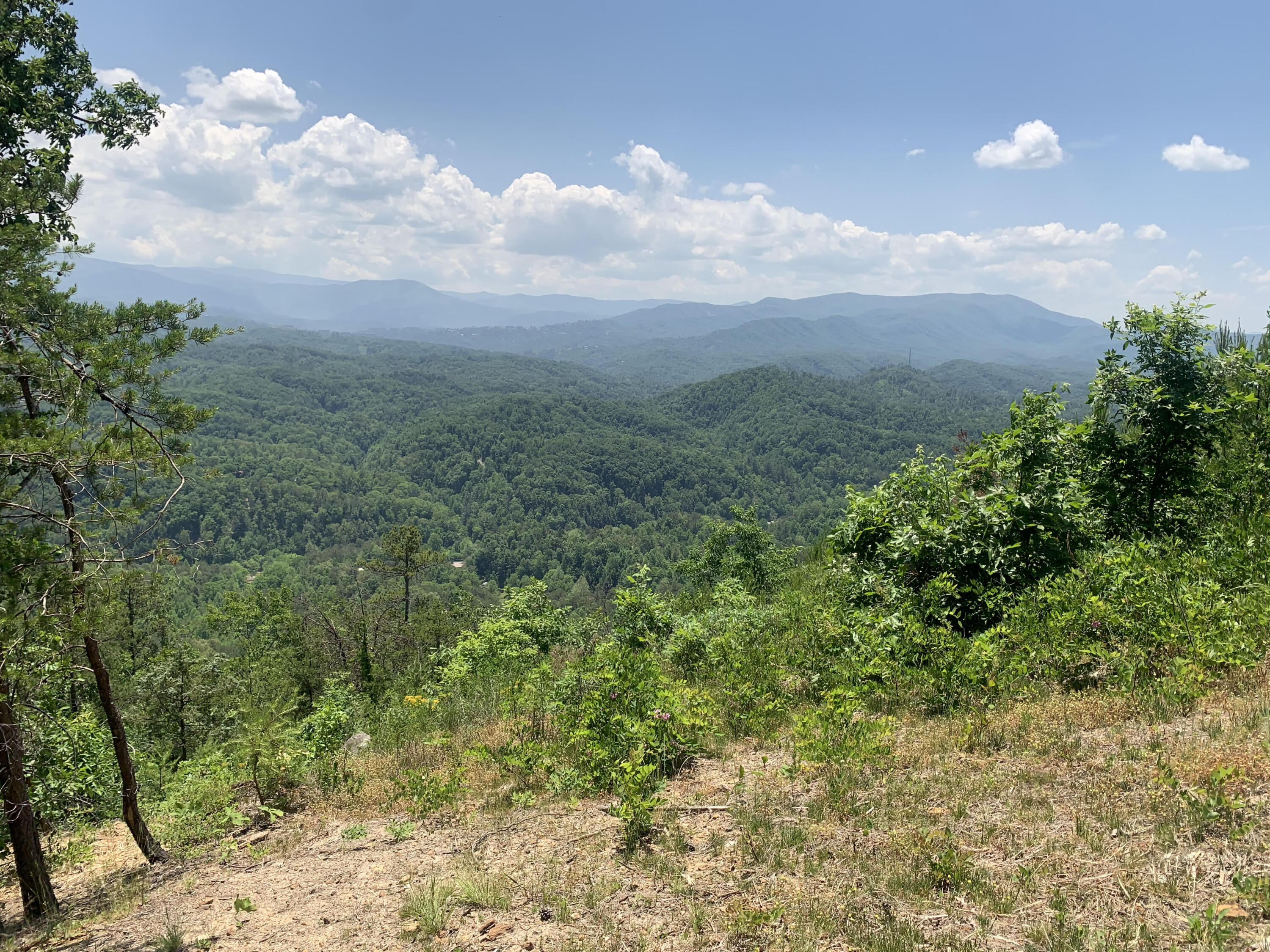 Timber Ridge Way Sevierville, TN 37876 - Photo 2 of 7 Image 2