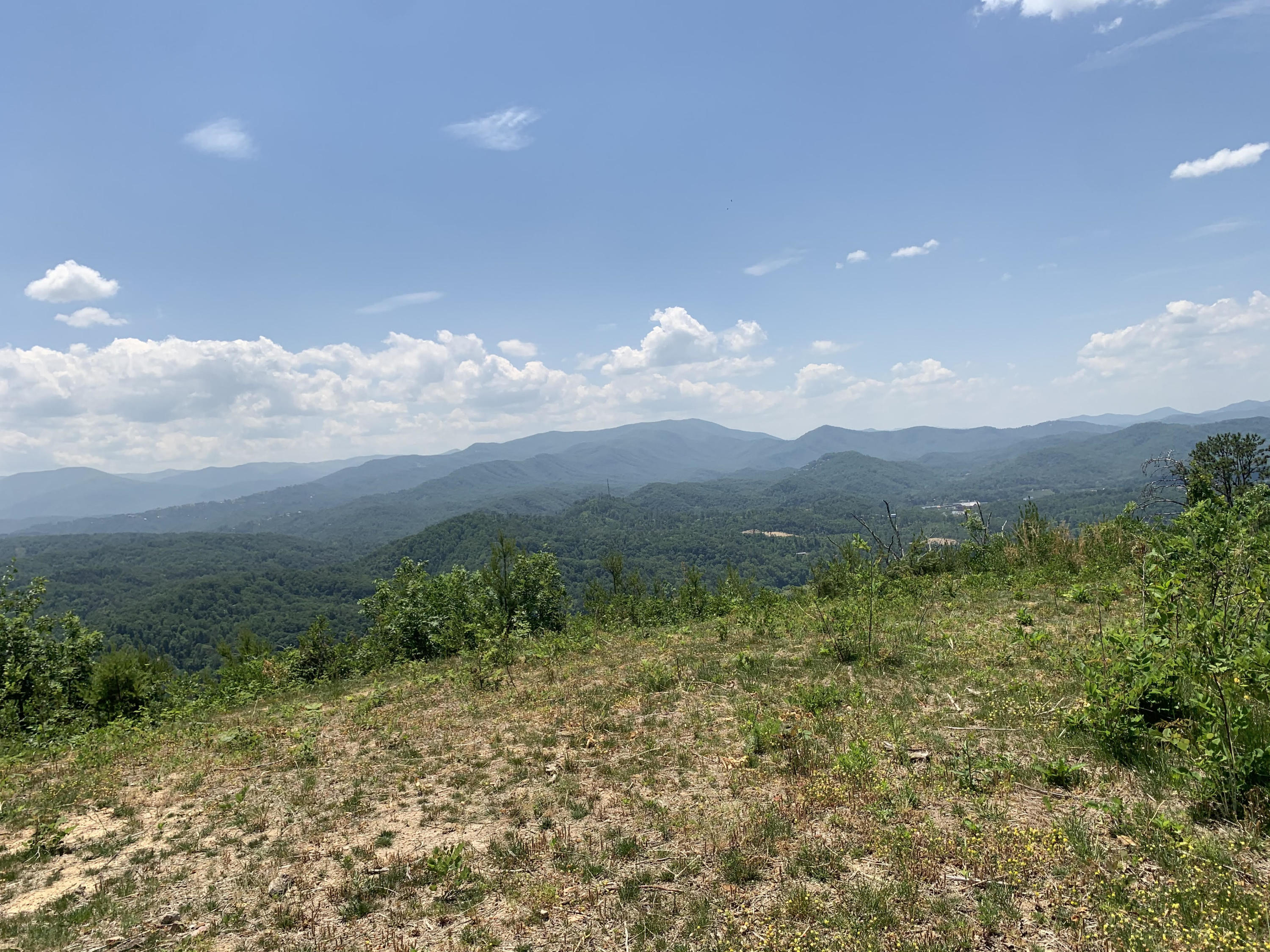 Timber Ridge Way Sevierville, TN 37876 - Photo 4 of 7 Image 5