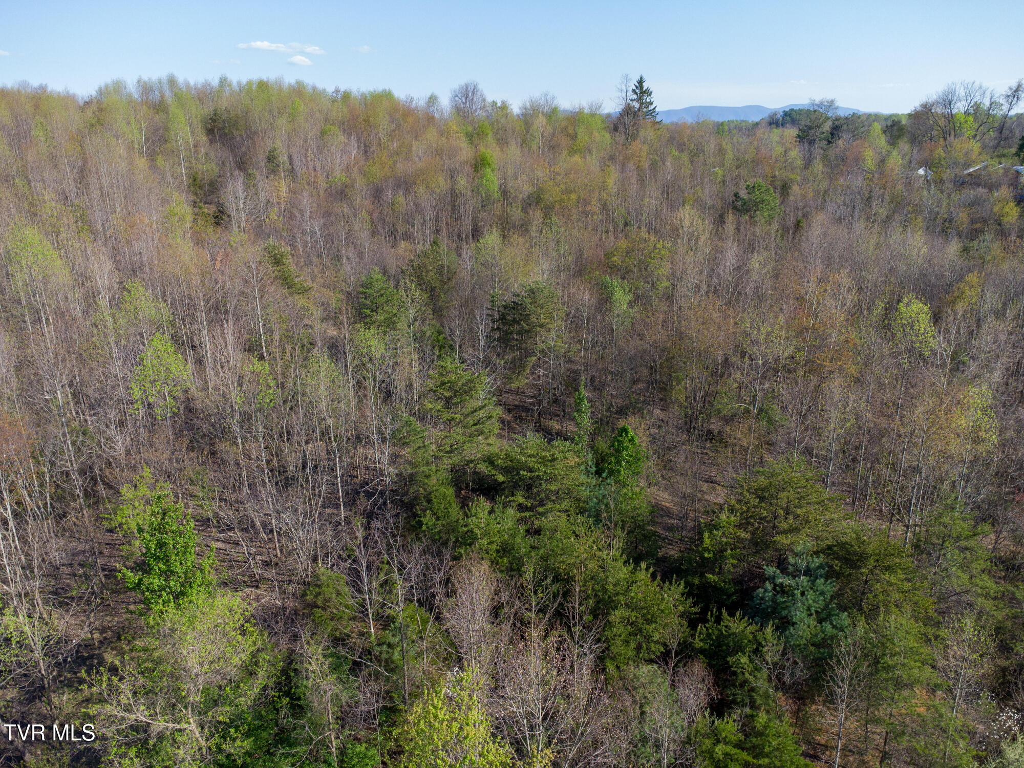 Tbd Kings Mill Pike Bristol, VA 24201 - Photo 3 of 10 DJI_0185