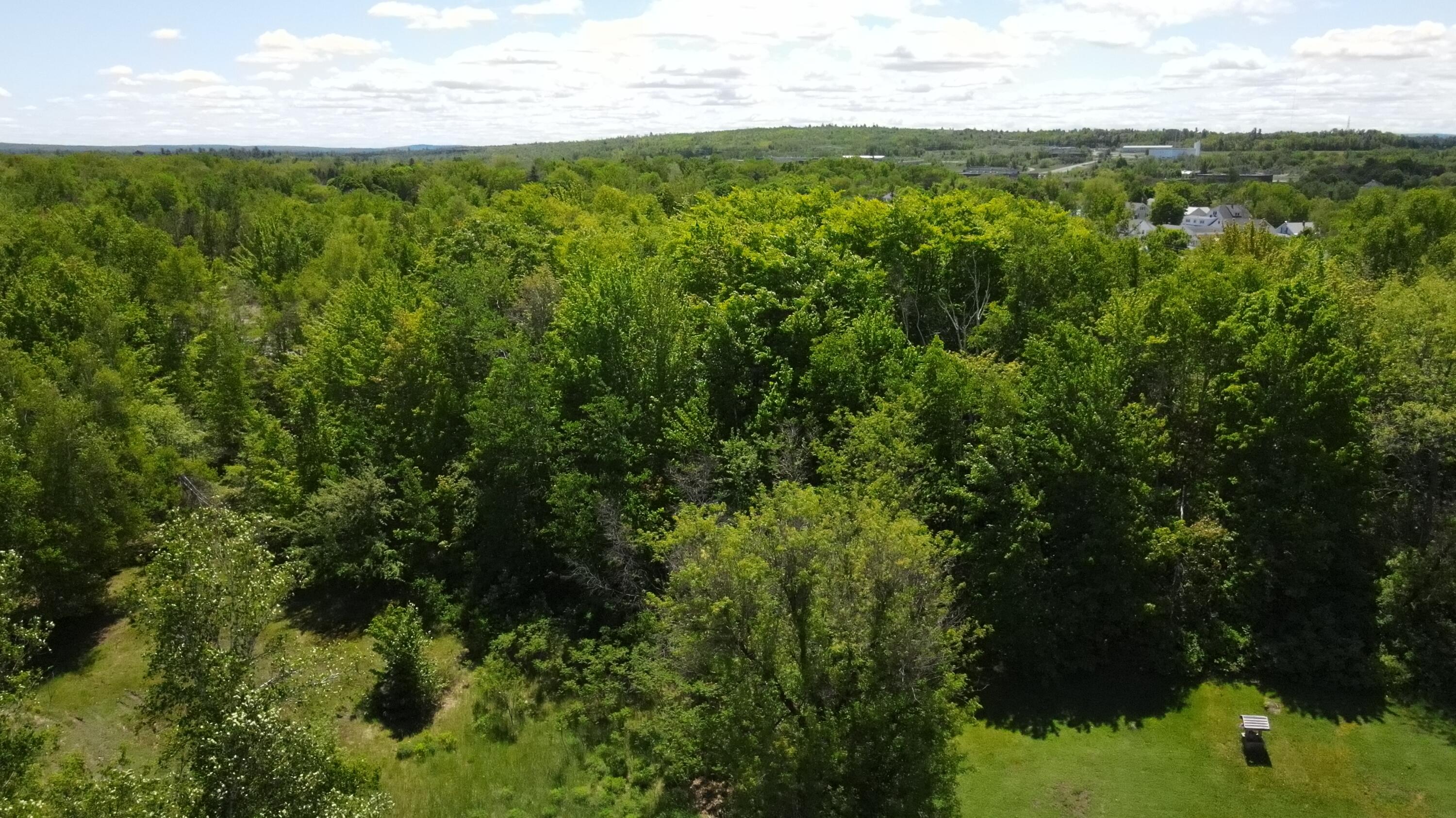 6-6a Forest Avenue Millinocket, ME 04462 - Photo 11 of 21 Photo_1080296183_DJI_759_jpg_4811777_0_2