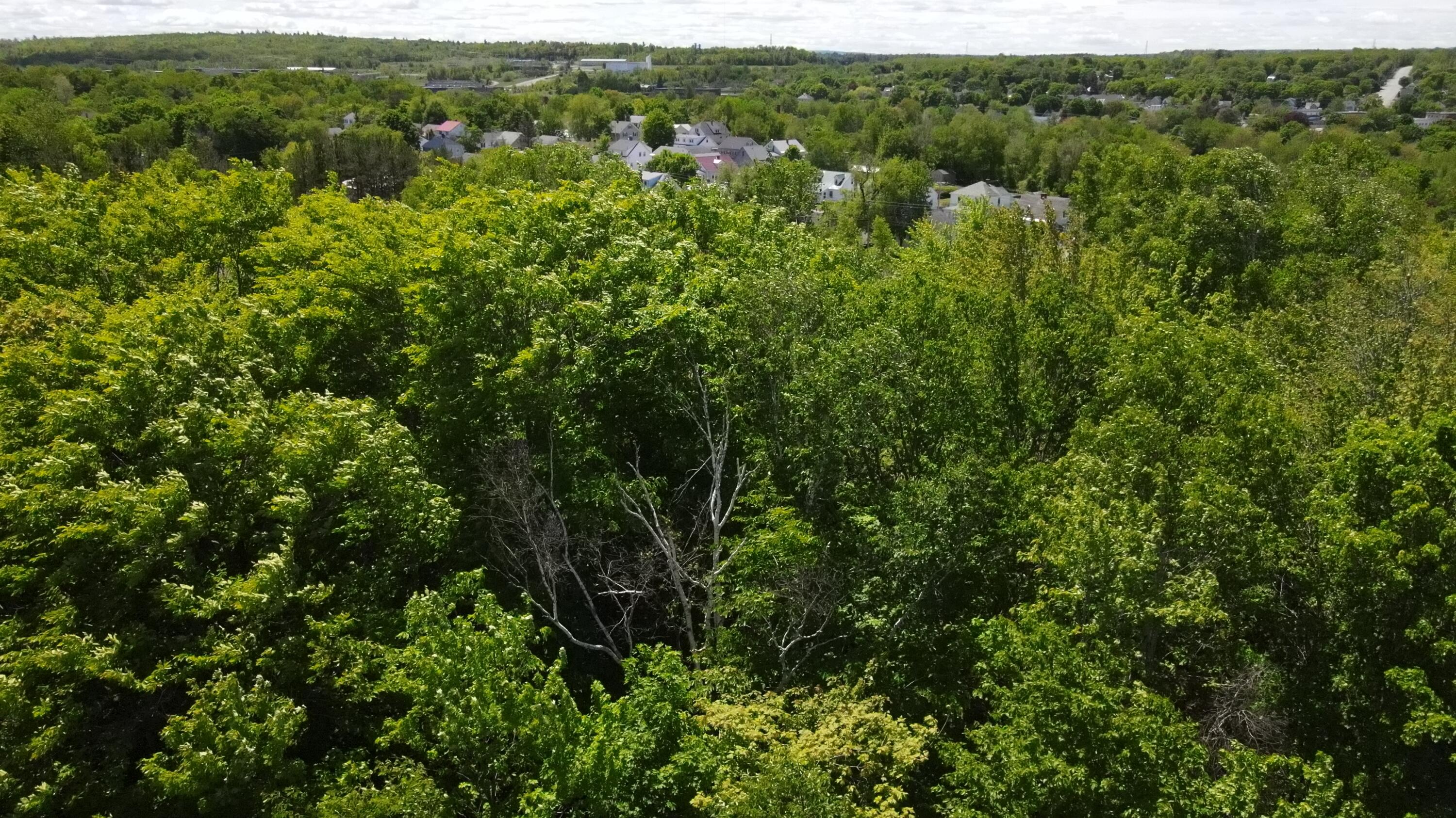 6-6a Forest Avenue Millinocket, ME 04462 - Photo 12 of 21 Photo_1080296185_DJI_761_jpg_5755057_0_2