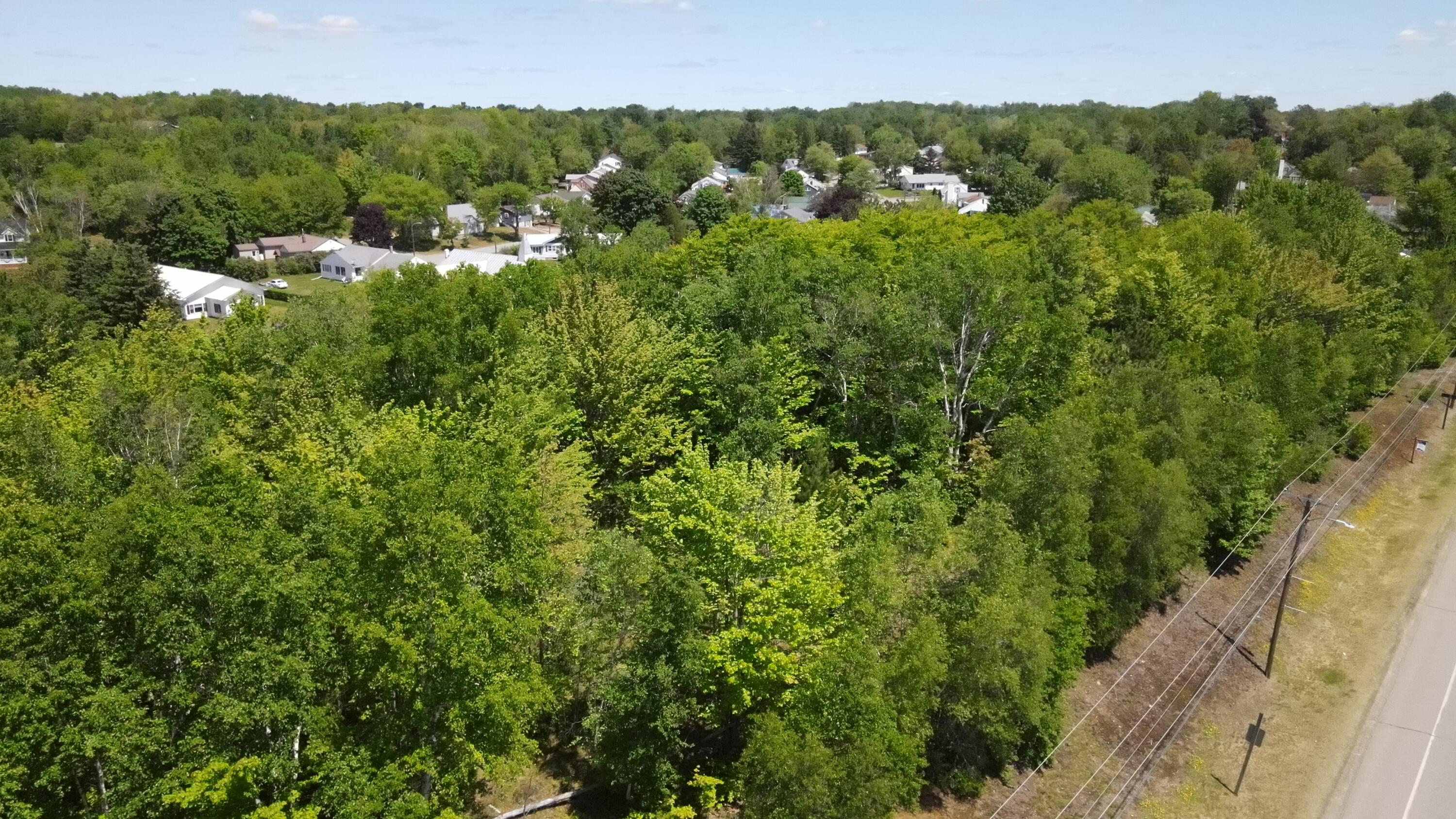 6-6a Forest Avenue Millinocket, ME 04462 - Photo 16 of 21 Photo_1080296192_DJI_768_jpg_5432971_0_2