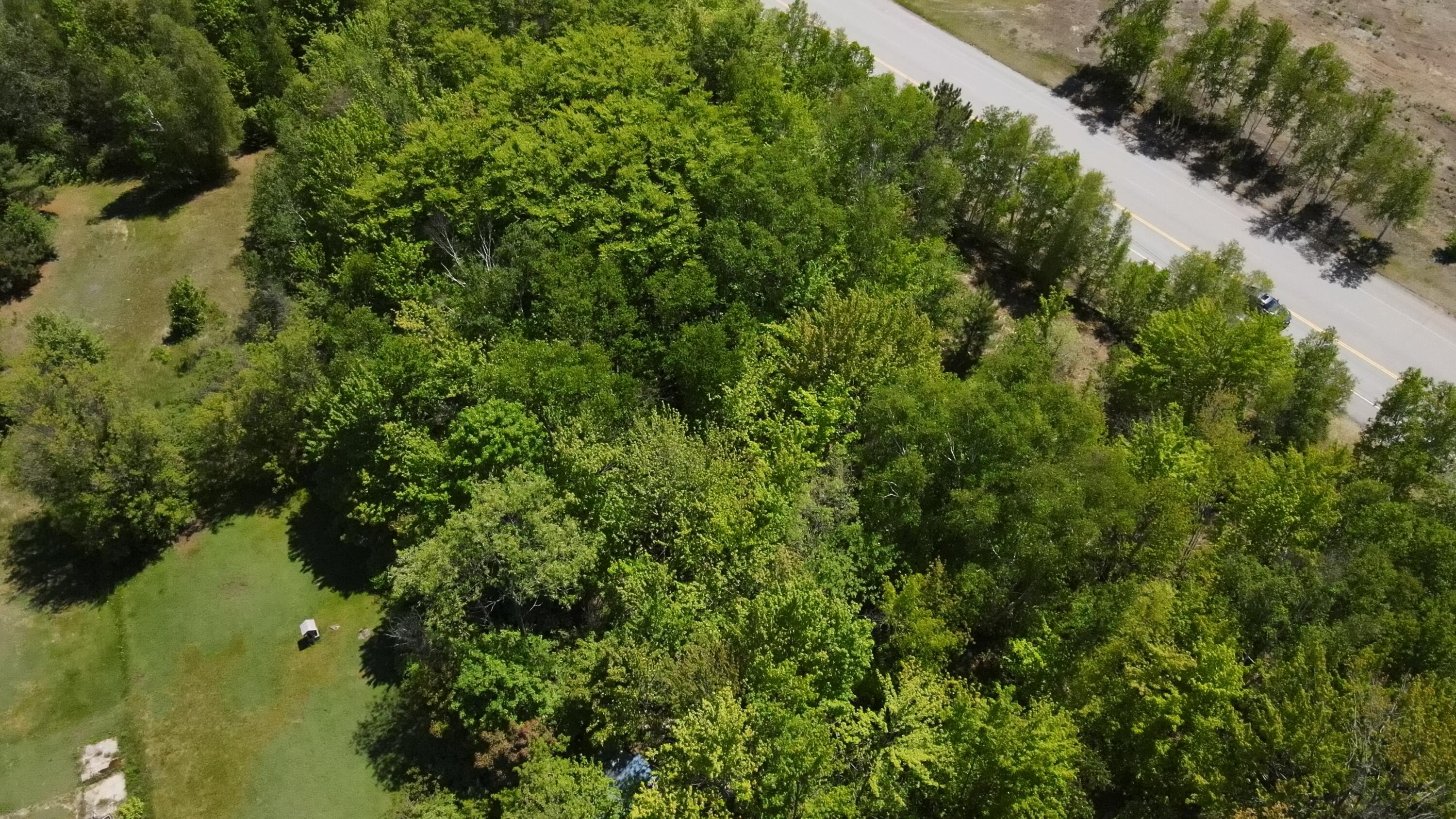 6-6a Forest Avenue Millinocket, ME 04462 - Photo 18 of 21 Photo_1080296196_DJI_772_jpg_5583100_0_2