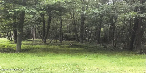 a view of outdoor space with trees
