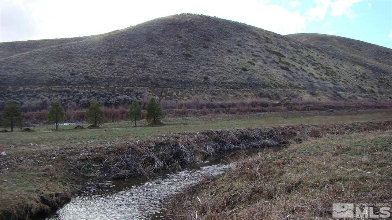 134 Andrew Lane, Unit 35 9 ACRES Reno, NV 89521 - Photo 17 of 28 a view of a dry yard with green space