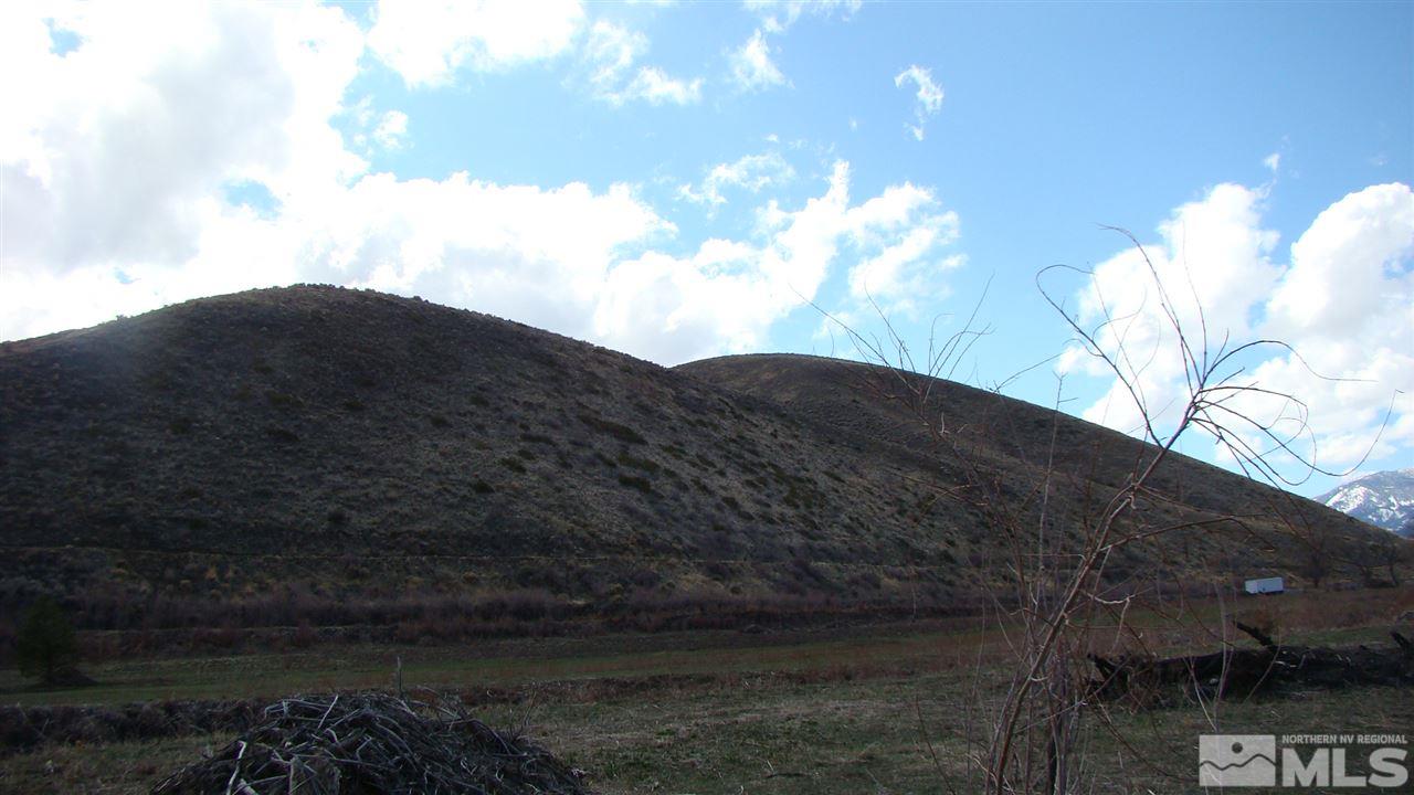 134 Andrew Lane, Unit 35 9 ACRES Reno, NV 89521 - Photo 25 of 28 a view of a house with a yard