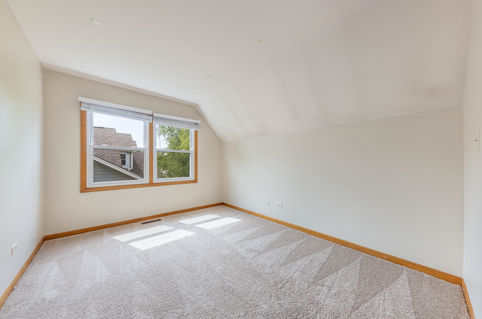 2312 Wild Timothy Road Naperville, IL 60564 - Photo 18 of 33