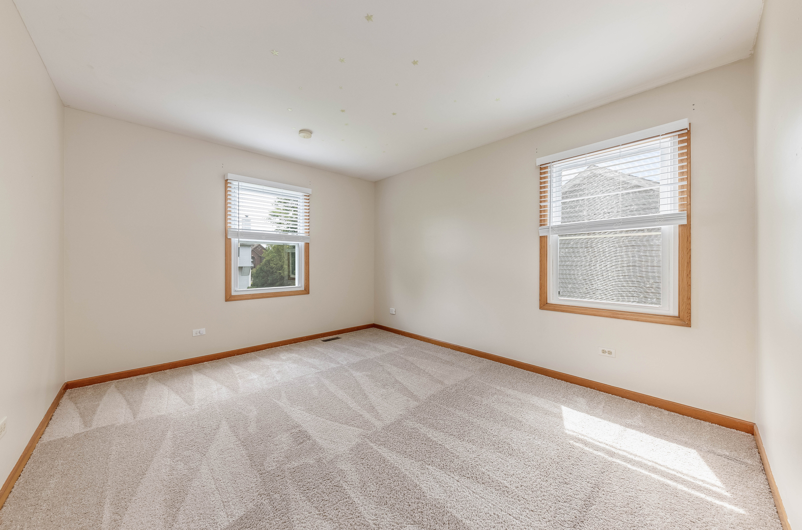 2312 Wild Timothy Road Naperville, IL 60564 - Photo 20 of 33