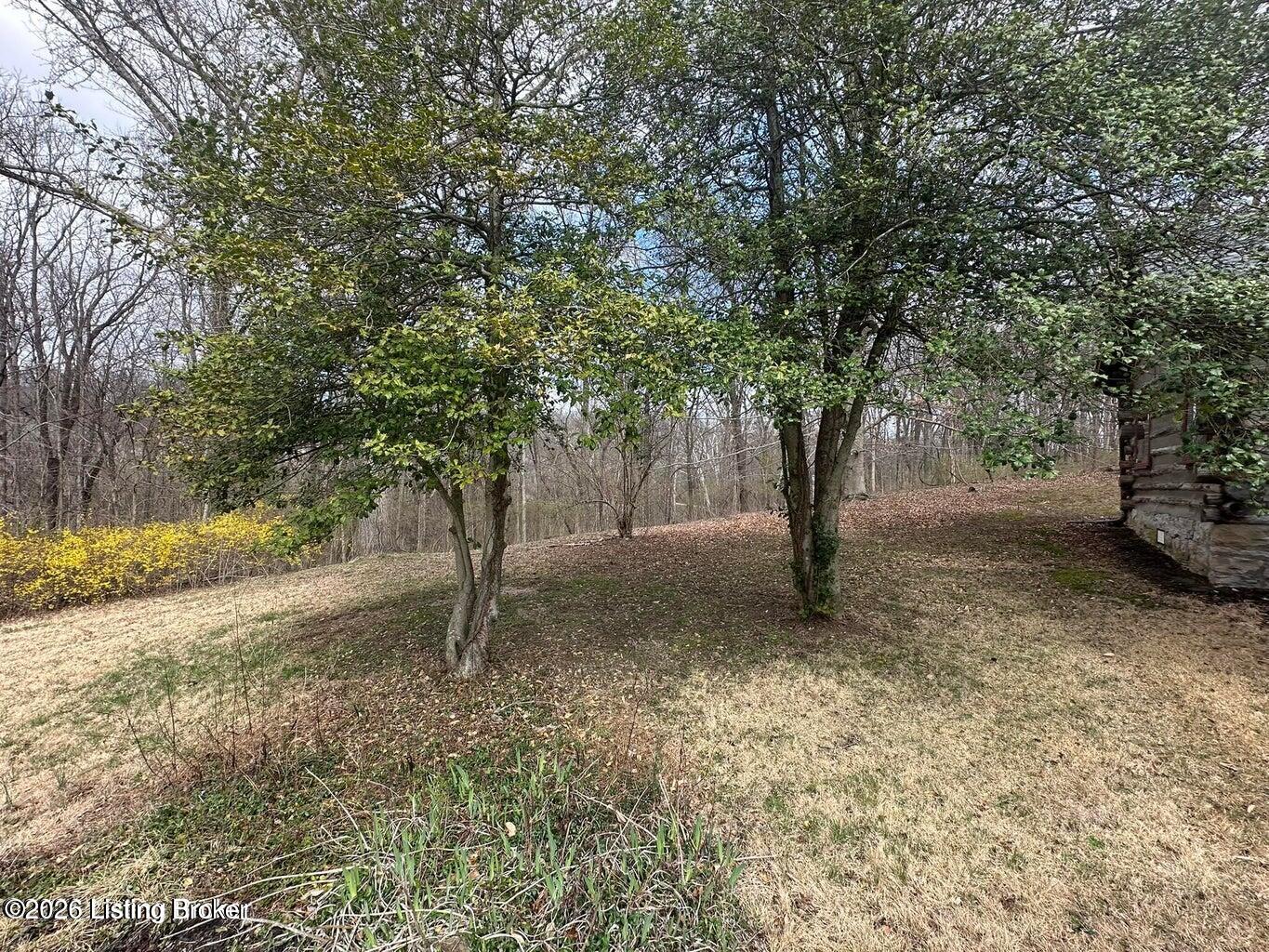 2515 Woodside Road Louisville, KY 40207 - Photo 10 of 11 20260313144047513791000000-o